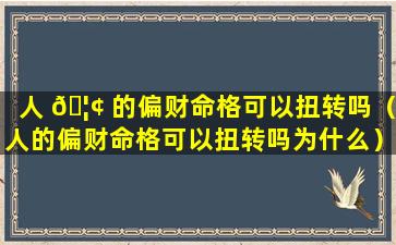 人 🦢 的偏财命格可以扭转吗（人的偏财命格可以扭转吗为什么）